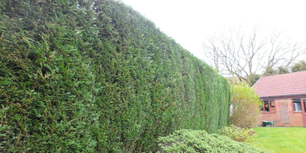 Grounds & Maintenance Blackburn Home Improvement & Garden Maintenance